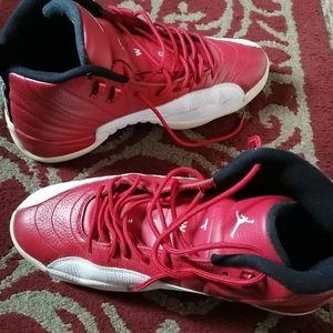 Mens Air Jordan 12 gym red
